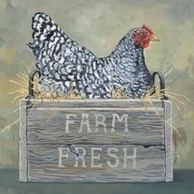 Poule AMAP Jurançon PAU